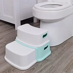 SKYROKU 2 Step Stool -GoodBuy Gear Shop 511L3TvwUAS. SL500