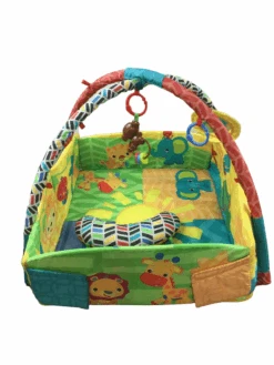 Bright Starts Sunny Safari Baby’s Play Place Activity Gym -GoodBuy Gear Shop 71ea19b7 8556 442f beba 97daa5c668f5