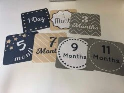 Aden + Anais Swaddle Blankets -GoodBuy Gear Shop 75faf89f7fba71079096540040d321e6