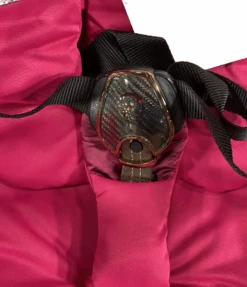 Cybex E-PRIAM Electric Stroller, Rosegold, Fancy Pink/Rose, 2019 -GoodBuy Gear Shop 91e6dec2 0234 4cd5 a035 db121ba18e3c