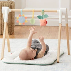 Skip Hop Garden Oasis Toy Arch With Mat -GoodBuy Gear Shop SkipHopGardenOasisToyArchwithMat