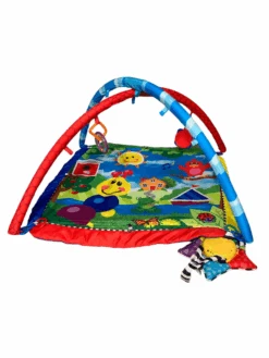 Baby Einstein Activity Gym, Caterpillar And Friends