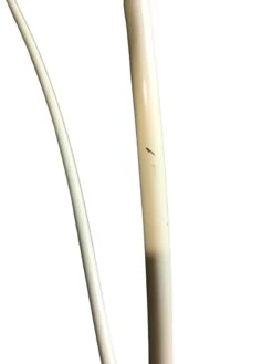 Bright Starts Vibrating Bouncer, Roaming Safari -GoodBuy Gear Shop cd3f4a30326ad8d1e4cd8b6f49a492f9