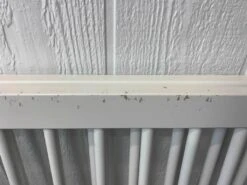 Oeuf NYC Sparrow Crib With Mattress 14 Oeuf NYC Sparrow Crib With Mattress -GoodBuy Gear Shop e77066107269741eded78f1a89d9db46